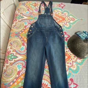 Blue Jean Overalls